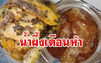 รสชาติชั้นเลิศ! ‘น้ำผึ้งเดือนห้า’ หอมหวานอร่อยสรรพคุณเพียบ