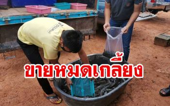 วิทยาลัยเกษตรฯพังงา ช่วยเกษตรกรขาย ‘ปลาดุก’ ราคาถูกสู้ภัยโควิด-19