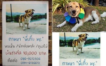 \'พี่เตี้ย มช.\'ยังไม่เจอ! แฟนเพจประกาศให้1หมื่นแก่ผู้พบเห็น