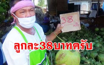 \'มะพร้าวน้ำหอม\' ราคาพุ่งลูกละ 38 บาทเผยพิษภัยแล้งทำให้ได้ผลผลิตน้อย