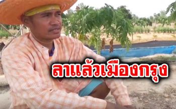 ทิ้งงานเมืองหลวง! หนุ่มสุรินทร์กลับบ้านเกิด ยึดอาชีพเกษตรเลี้ยงครอบครัว (คลิป)