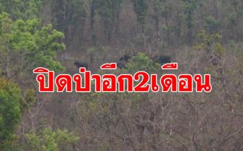9เขตอุทยานฯ-3เขตรักษาพันธุ์สัตว์ป่า \'กาญจน์-สุพรรณฯ-ราชบุรี\'ปิดป่าอีก2เดือน!