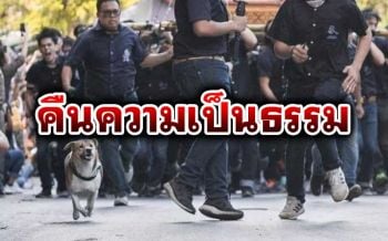 ชาวเน็ตไม่ยอม! ล่าชื่อคืนความเป็นธรรมให้\'พี่เตี้ย มช.\'จี้เอาคนผิดมาลงโทษ