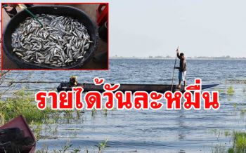 ชาวกาฬสินธุ์พลิกวิกฤตแล้งออกเรือจับปลาเขื่อนลำปาวรายได้วันละ 1 หมื่น