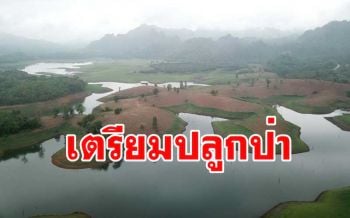 กรมอุทยานฯ เตรียมปลูกป่าเฉลิมพระเกียรติริมทะเลสาบอ่างเก็บน้ำเขื่อนวชิราลงกรณ