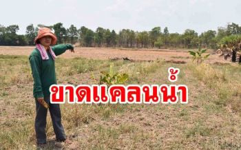 ชาวบ้านนอกเขตชลประทาน วอนหน่วยงานช่วยเหลือไร้น้ำทำเกษตรนาน6เดือน