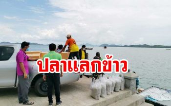 เรื่องดีๆ! ‘พังงา’นำปลาเล-กระปิ 1.7 ตัน แลกข้าว‘ศรีสะเกษ’ 10 ตัน