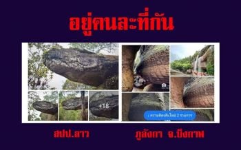 ที่แท้เป็นแบบนี้! แชร์ว่อนภาพ\'ถ้ำนาคา\'หินคล้ายงูใหญ่ พญานาคผู้ถูกสาปไว้!?