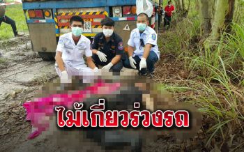 หนุ่มตัดไม้วัย22นั่งบนกองไม้พลัดตกรถ ล้อเหยียบหัวเละ