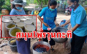 เปิดตำราน้ำสมุนไพรวุ้นกะทิใบเตย สรรพคุณต้านโรคกิจกรรมยามว่างของแม่บ้าน