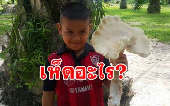 \'ชาวห้วยน้ำขาว\' เผยมีคนมาเข้าฝันก่อนไปพบ \'เห็ดยักษ์\' คอหวยไม่พลาดส่องเลข