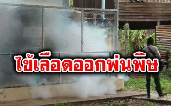 ชาวโคราชผวาหนัก!  \'ไข้เลือดออก\'พ่นพิษคร่า2ชีวิต ป่วยพุ่งเกือบ2พันราย