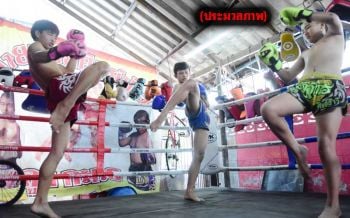 ‘ค่ายมวย’คึกรับคลายล็อก ‘สิงห์กำปั้น’หวนคืนสังเวียน เคาะสนิม‘หมัด เท้า เข่า ศอก’