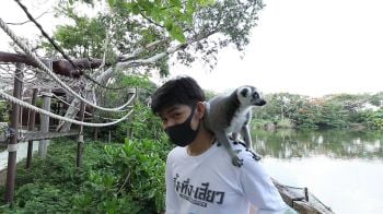 \'กุ้ง สุธิราช\'ร้องลั่นถูกลีเมอร์จู่โจมกระโดดขึ้นบ่าวิถีชีวิตสัตว์น้อยใหญ่ของสวนสัตว์เขาเขียว