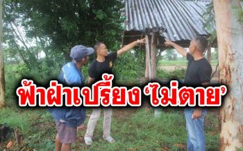 สุดเหลือเชื่อ!!! ฟ้าผ่าเปรี้ยง 5 ชาวนากาฬสินธุ์ รอดตายปาฏิหาริย์