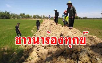 โวย​ อบต.ถมดินทำถนนทับทางเข้า-ออกชาวบ้านเดือดร้อนขนปุ๋ยไปใส่นาไม่ได้​
