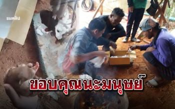 เปิดคลิป! นาทีคนงานก่อสร้างปั๊มหัวใจ ลูกหมา2ตัวรอดจากความตาย