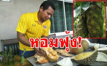 \'จำปาดะสตูล\' ออกก่อนฤดูกาล พร้อมส่งขายออนไลน์หลังปลดล็อกโควิด