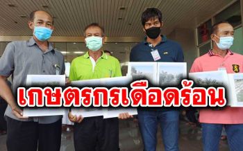 กลุ่มเกษตรกรต้านแบน3สารยื่นศาลปค.ขอสั่งชะลอห้ามใช้-จำหน่าย ชี้ไร้สารทดแทน