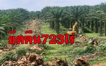 โค่นสวนปาล์ม! นายทุนรุกที่ดินรัฐ723ไร่ ยึดคืนจัดสรรที่ทำกินให้เกษตรกร