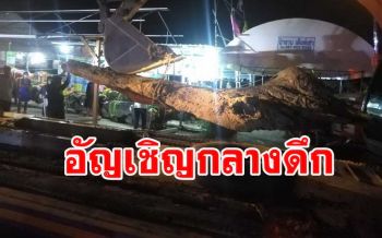 อัญเชิญ \'ต้นตะเคียน\' ขึ้นจากบ่อทรายร้างกลางดึก ชาวบ้านเผยพบปาฏิหาริย์