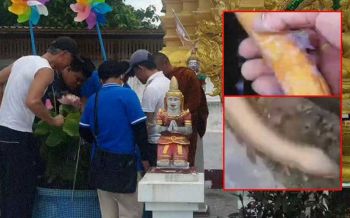 ชาวพะเยาแห่ดู! \'ปลาไหลเงิน-ปลาไหลทอง\' ขอโชคตีเลขเด็ดหวังถูกรางวัล