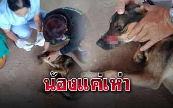 สาวพยาบาลน้ำตาซึม! คนร้ายฟันหน้า\'น้องน้ำตาล\' แผลเหวอะเย็บ9เข็ม