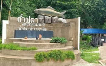 \'วนอุทยานถ้ำปลา-น้ำตกผาเสื่อ\' พร้อมเปิดให้นักท่องเที่ยวเข้าชมความงาม