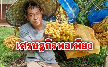 อดีตพนง.บริษัทรับเหมา ปลูก‘อินทผลัม’สร้างรายได้ตามหลักเศรษฐกิจพอเพียง