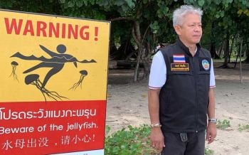 ‘อช.หาดนพรัตน์ธารา-หมู่เกาะพีพี’เตือนนักท่องเที่ยว ลงเล่นน้ำระวัง‘แมงกะพรุน’