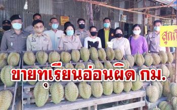 \'เตือนเกษตรกร-พ่อค้า\' ขายทุเรียนอ่อนผิดกฎหมายทั้งอาญา พรบ.คุ้มครองผู้บริโภค