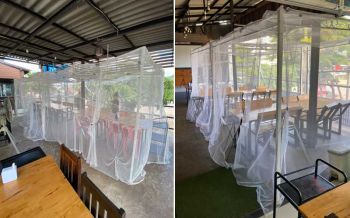 หมดหนทาง! ร้านอาหารภูเรือกางมุ้งให้นักท่องเที่ยว หลังฝูงแมลงนับล้านบุกยึด