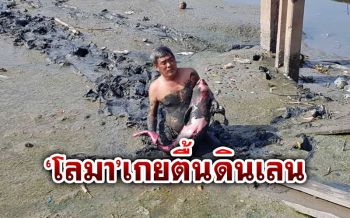 ภาพสุดเศร้า! ‘ลูกโลมา’ เกยตื้นตายบนดินเลนริมแม่น้ำท่าจีน