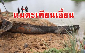 อัญเชิญตะเคียนยักษ์กลางบ่อทรายร้าง พบ \'เงาดำทะมึน\' คล้ายจระเข้โผล่กลางบ่อ