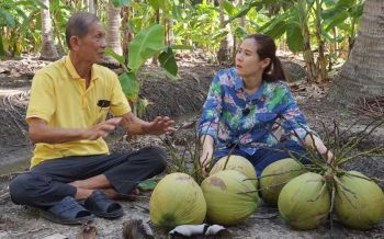 \'ส.ส.กุลวลี\'พาสื่อบุกสวนมะพร้าวราชบุรี ยืนยัน10อำเภอไม่เคยใช้แรงงานลิง
