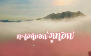 ชมทะเลหมอก‘ภูทอก’เชียงคาน นทท.ทะลักริมโขงวันหยุด (คลิป)