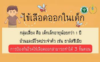 แพทย์เผยเด็กเล็กอายุน้อยกว่า1ปี กลุ่มเสี่ยงไข้เลือดออก