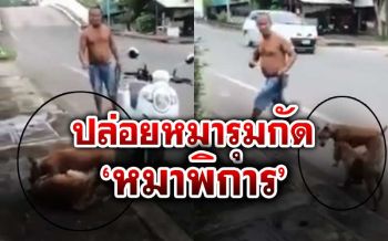 วิจารณ์สนั่น! ลุงจูงหมา3ตัวรุมกัด\'หมาพิการ\'ข้างถนน