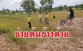 ชาวบ้านมุกดาหารเดือดร้อนหนัก! ร้องเรียนทั้งน้ำตาช่วยต้นข้าวเราด้วย