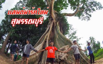 แลนด์มาร์คใหม่! ‘ต้นเชียงยักษ์’ อายุ100ปี22คนโอบ เช็คอิน ณ อ.ด่านช้าง