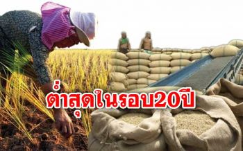 \'ข้าวไทย\'ส่งออกต่ำสุดในรอบ20ปี น้อยกว่า\'อินเดีย-เวียดนาม\'