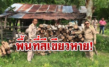ป่าหาย! พบลักลอบตัดไม้ในป่าโคกดงเหล็กกว่า 3,000ต้น  เร่งตามตัว