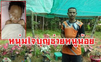หนุ่มสตูลใจบุญเปิดประมูล\'บอนสี\' หารายได้รักษาหนูน้อย5เดือนป่วยโรคประหลาด