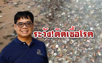 ‘ดร.ธรณ์’เตือนเก็บหอยแมลงภู่หาดจอมเทียนมากิน เสี่ยงติดเชื้อโรค