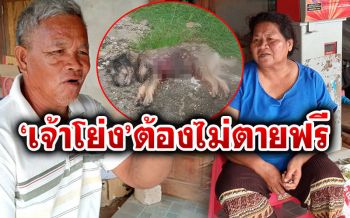 ตายายเสียใจมาก \'เจ้าโย่ง\'ถูกผอ.ยิงตาย ไม่ยอม!!ขุดซากผ่าเอาผิดคนใจร้าย