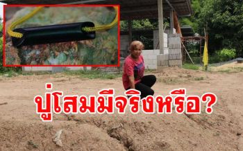 เปิดตำนานความเชื่อ!\'ปู่โสมเฝ้าทรัพย์\' หลังป้าวัย 60 ชาวอ่างทองได้งาช้างดำ