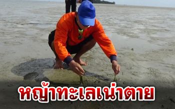 วิกฤตหนัก! หญ้าทะเลตรังเน่าตายเป็นบริเวณกว้าง หวั่นกระทบสัตว์น้ำสูญพันธุ์