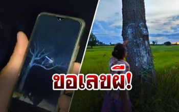 ท้าพิสูจน์! ผีบนต้นไม้กระโจนเกาะสาวโรงงาน ส่องไฟเห็นเงาดำจริง ชาวบ้านแห่ขอเลขเด็ด