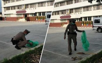 ชื่นชม! ตำรวจ สภ.ทุ่งใหญ่ เมืองคอน กวาดเศษขยะหน้าโรงพักทุกเช้า