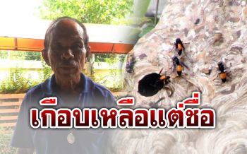 หวิดดับ! พ่อเฒ่าวัย72ปีโดนตัวต่อรุมต่อย รอดปาฏิหาริย์ เชื่อ‘หลวงปู่ทวด’ช่วยให้ปลอดภัย